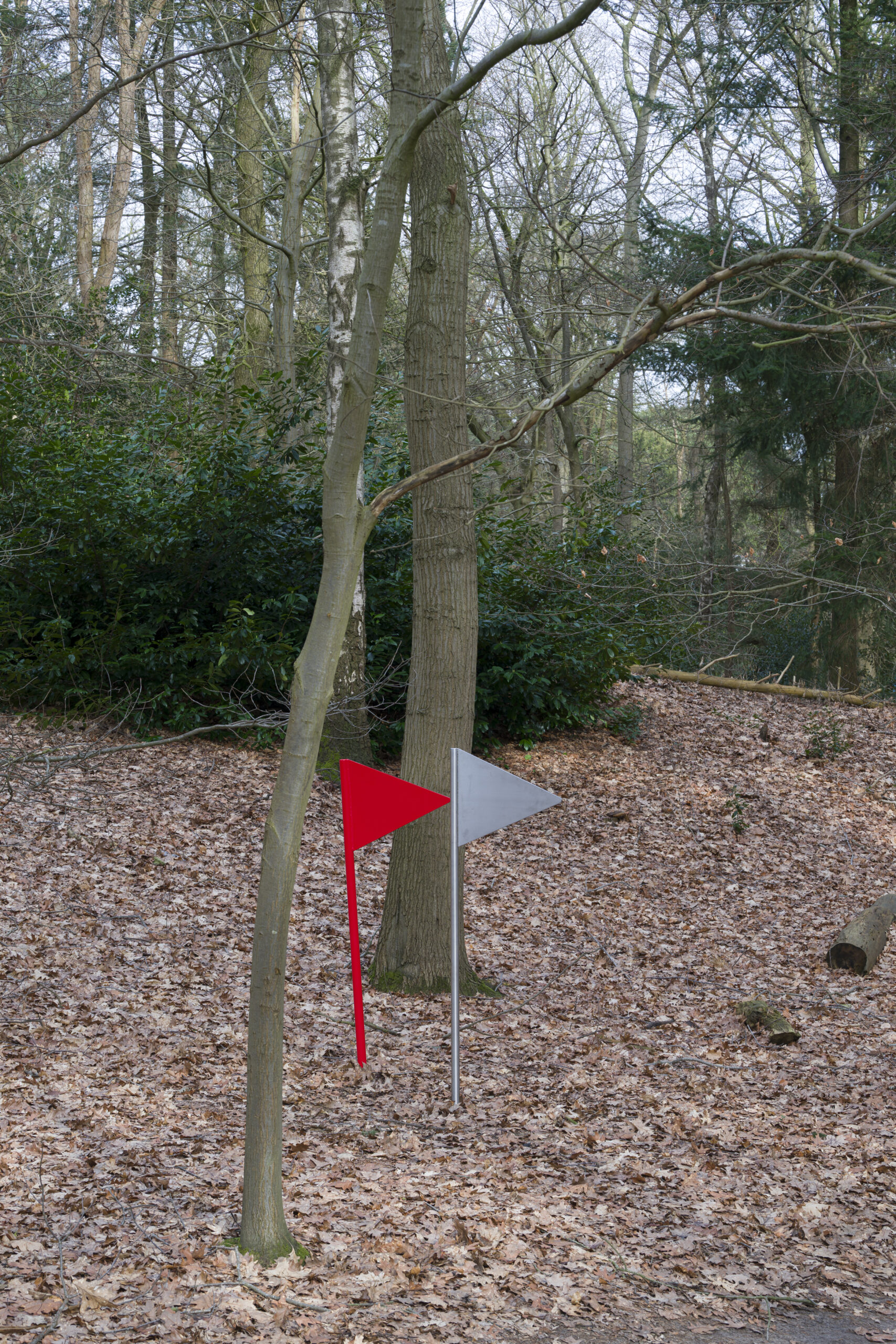 Work 1 Image